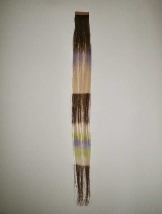 Extension